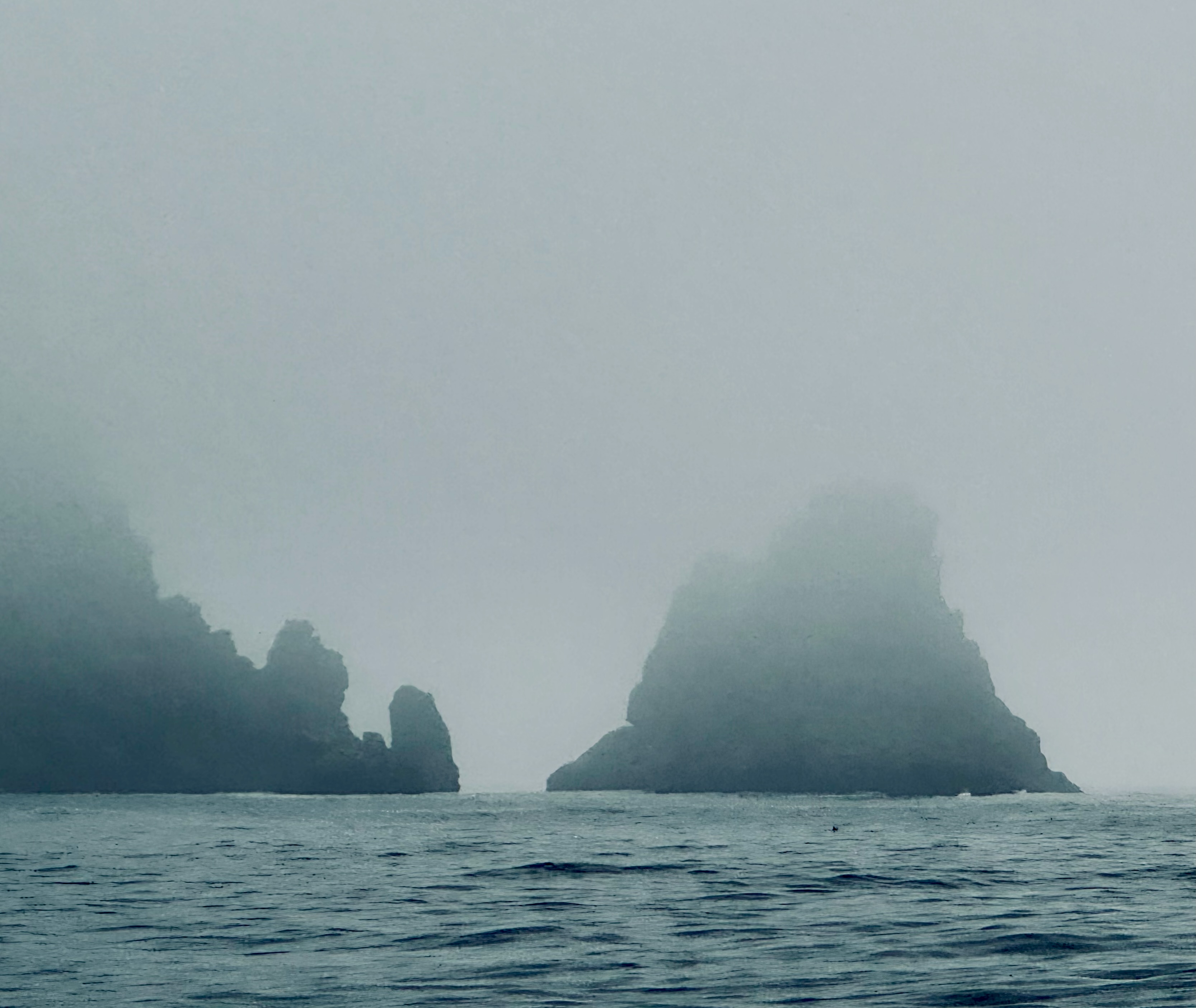 Die gefährliche Küste