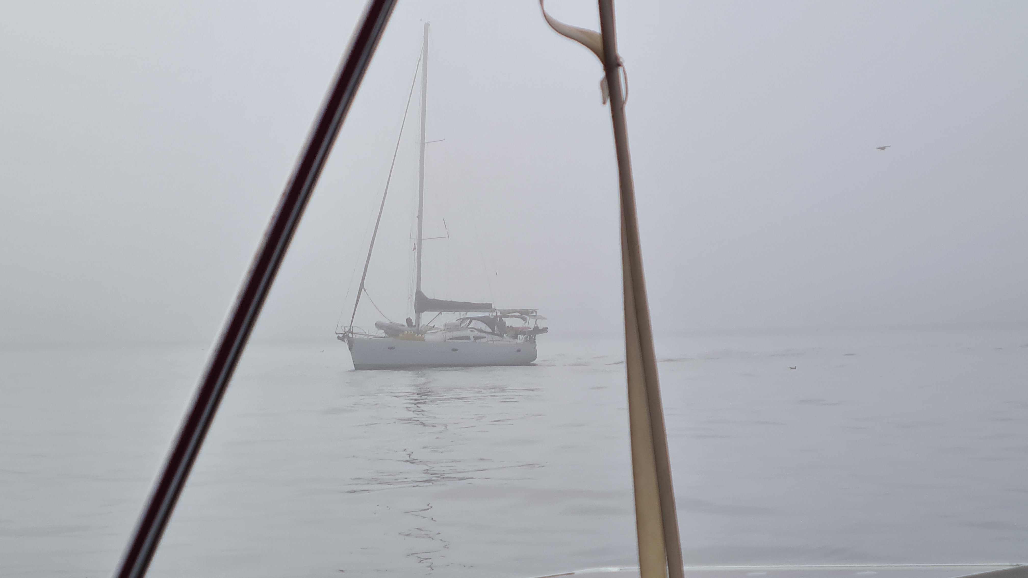 Ein Mitsegler im Nebel hält genau Kurs
