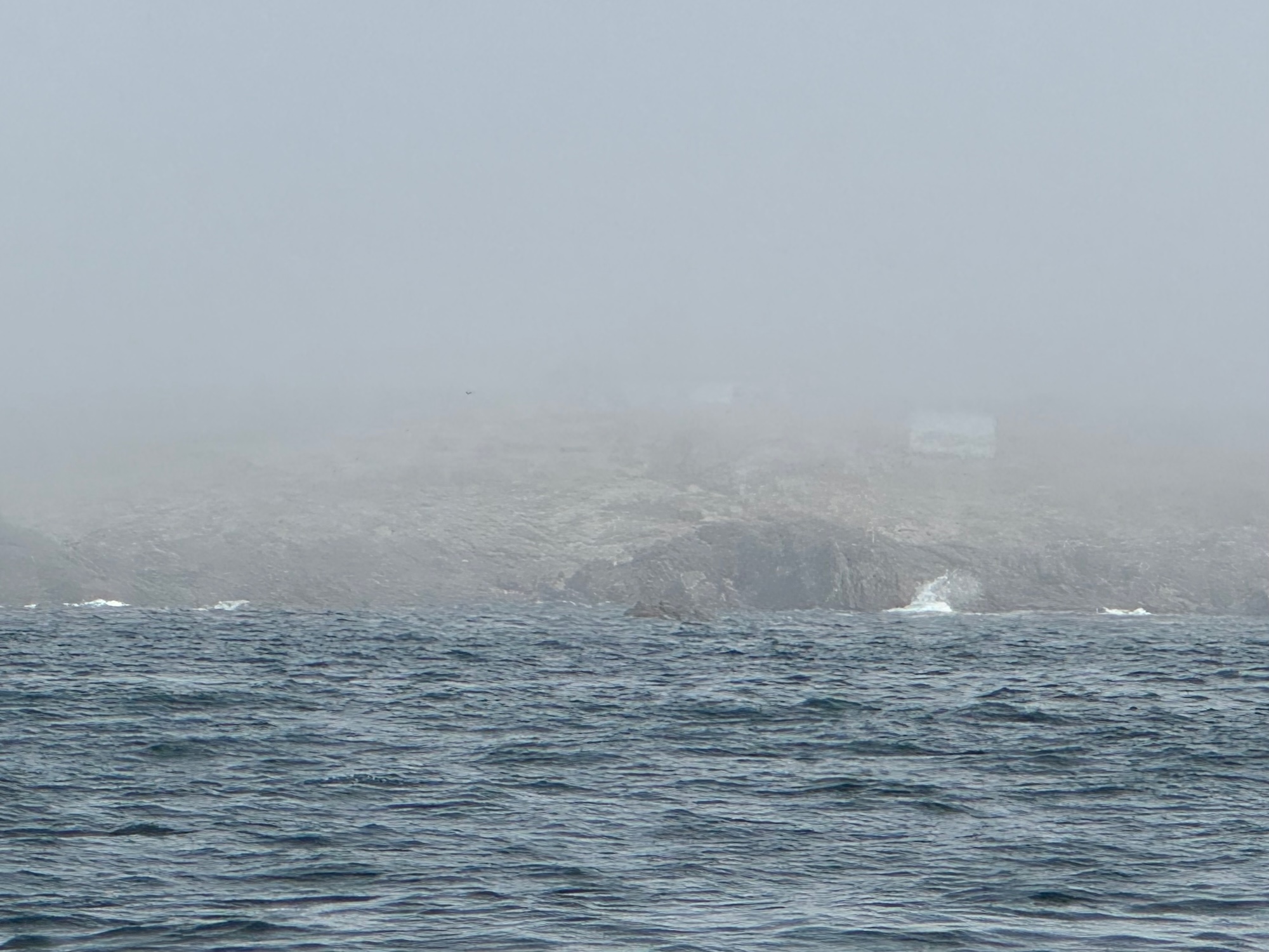 Fast nichts zu sehen