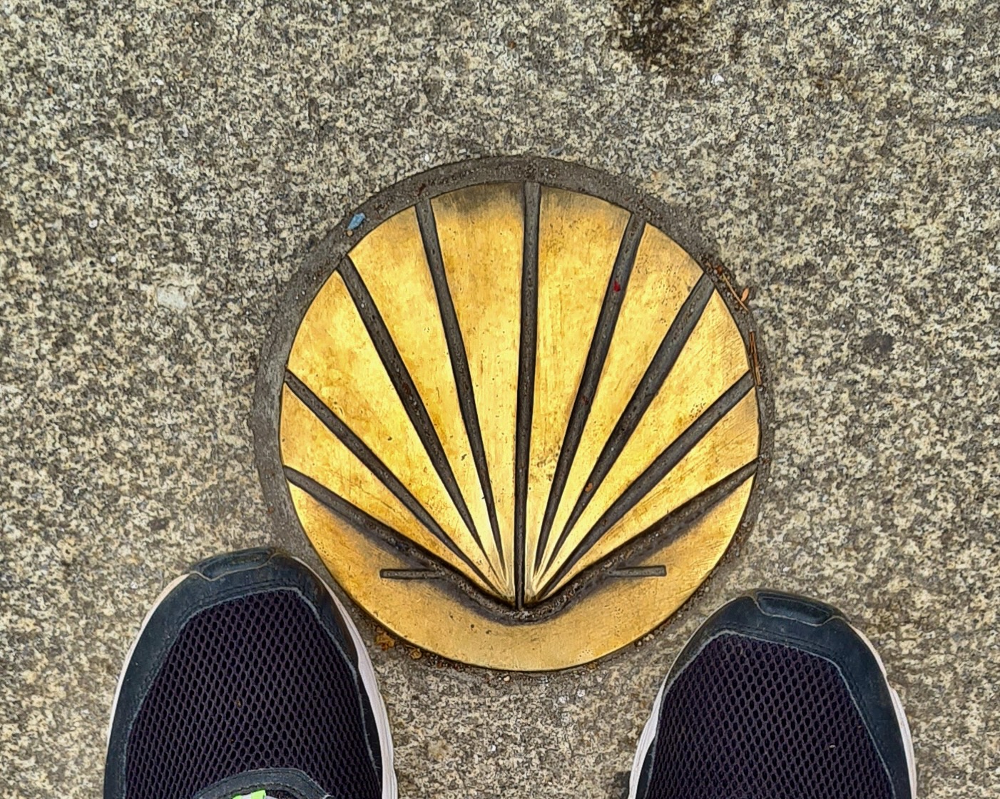 Jakobsmuschel als Symbol