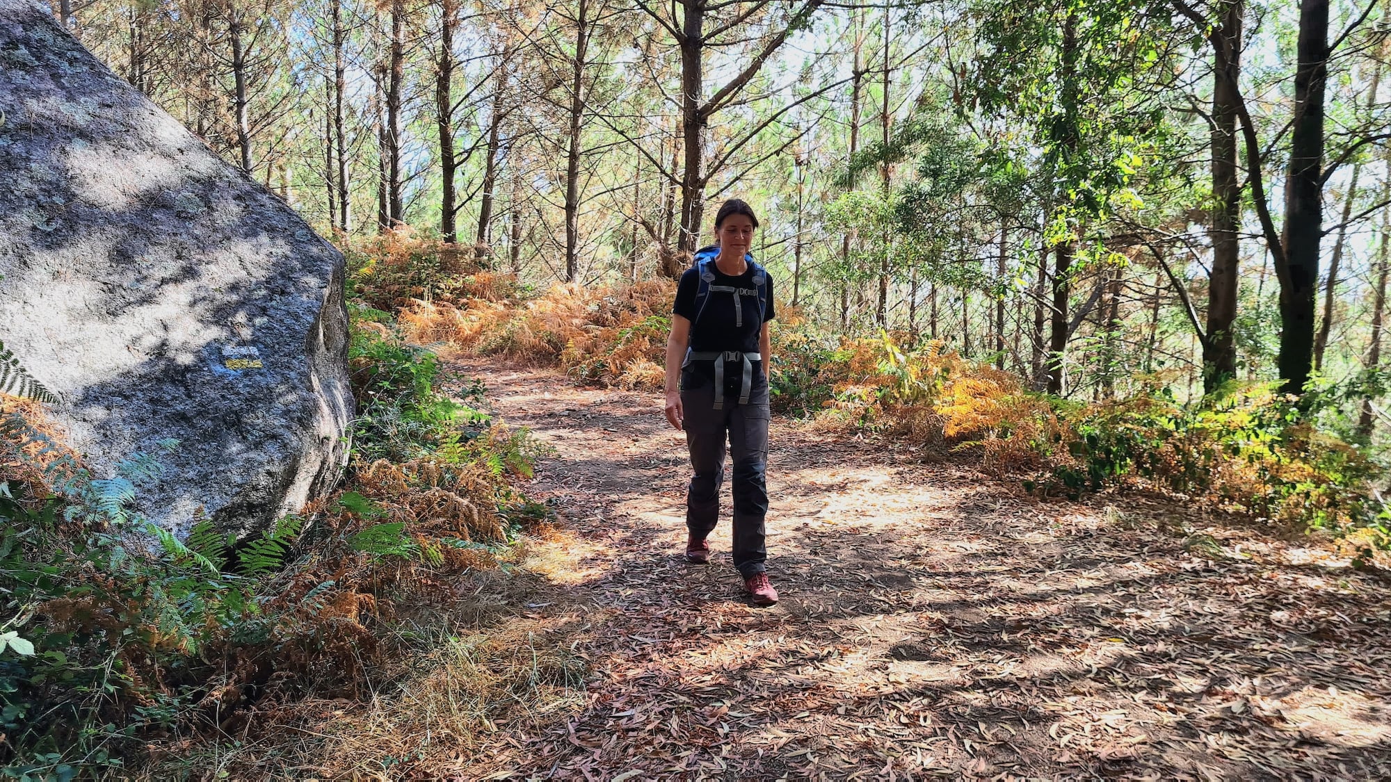 Wandern im Märchenwald