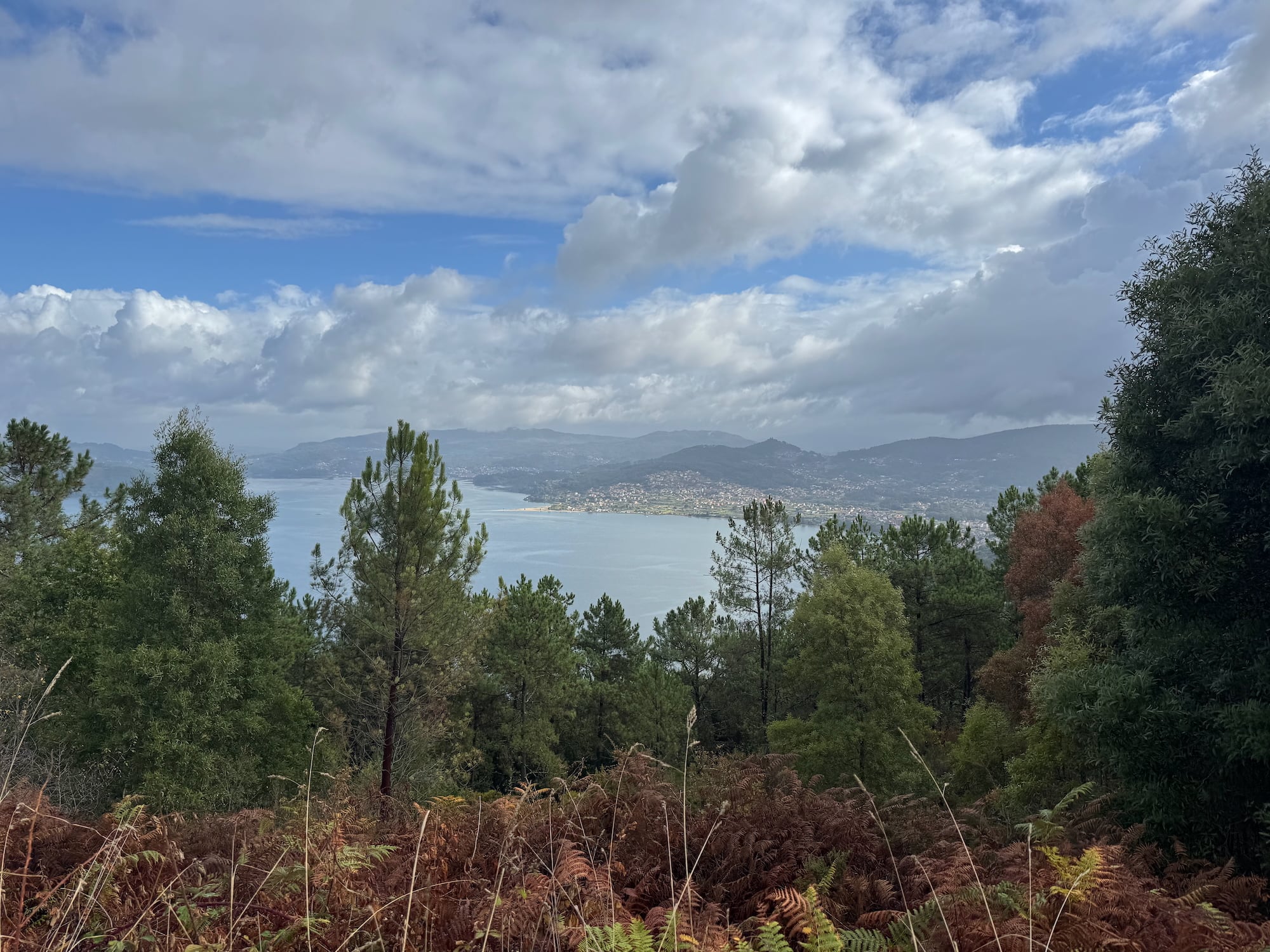 Blick vom Aussichtspunkt