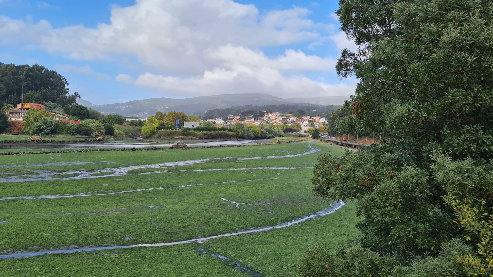 An der Flussmündung