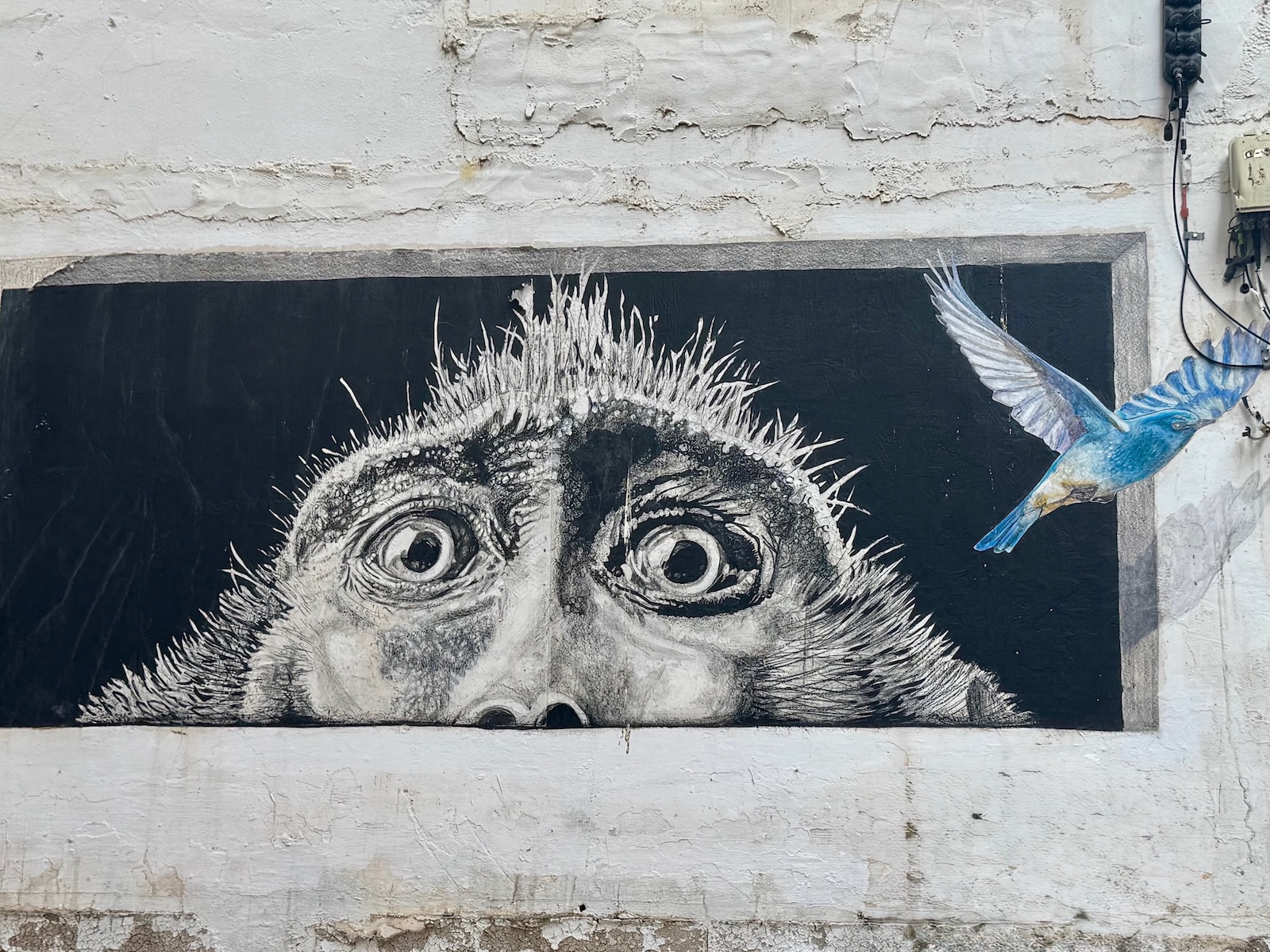 Dritte Street Art in Huelva