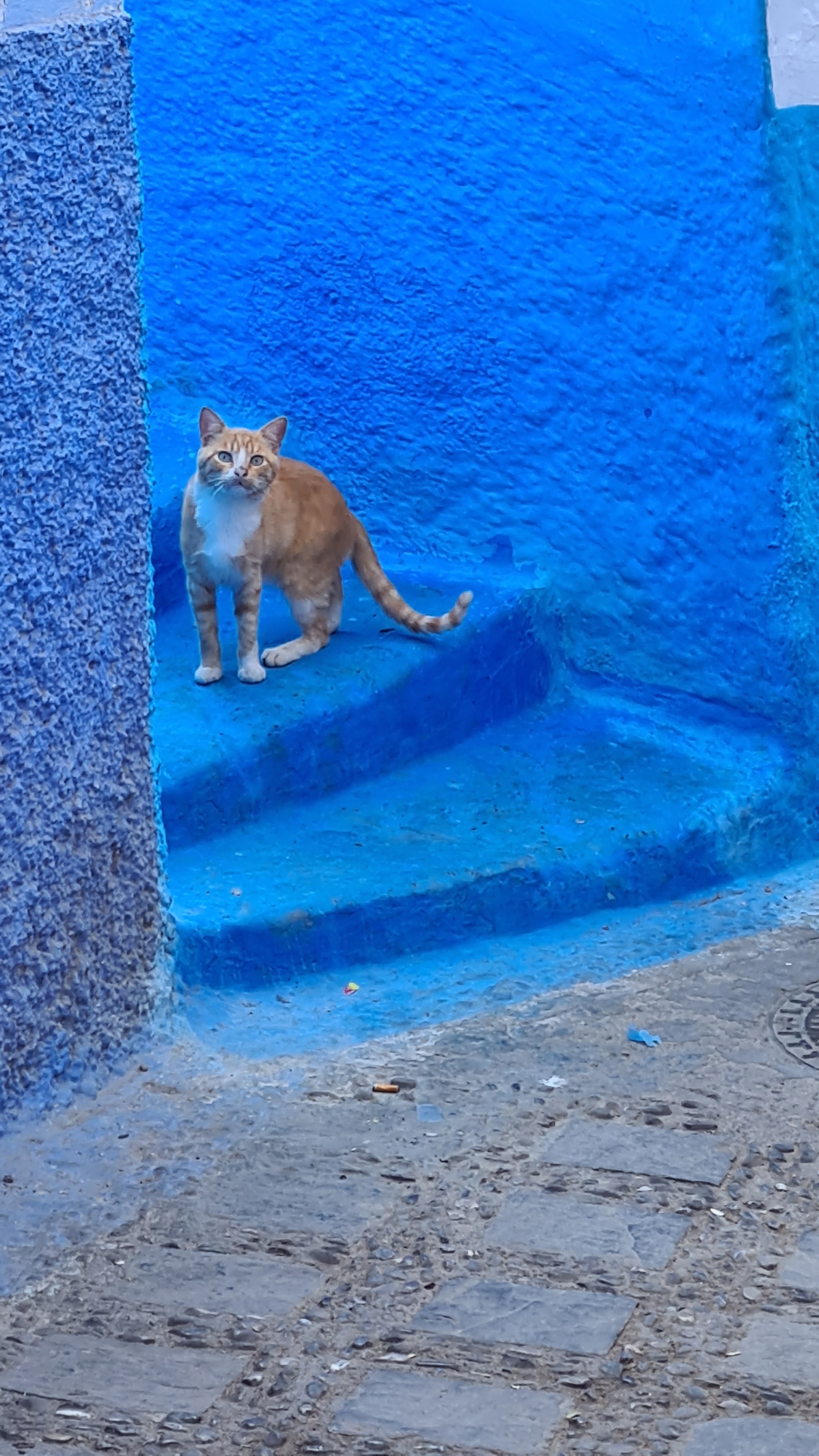 Umgeben von hohen Bergen