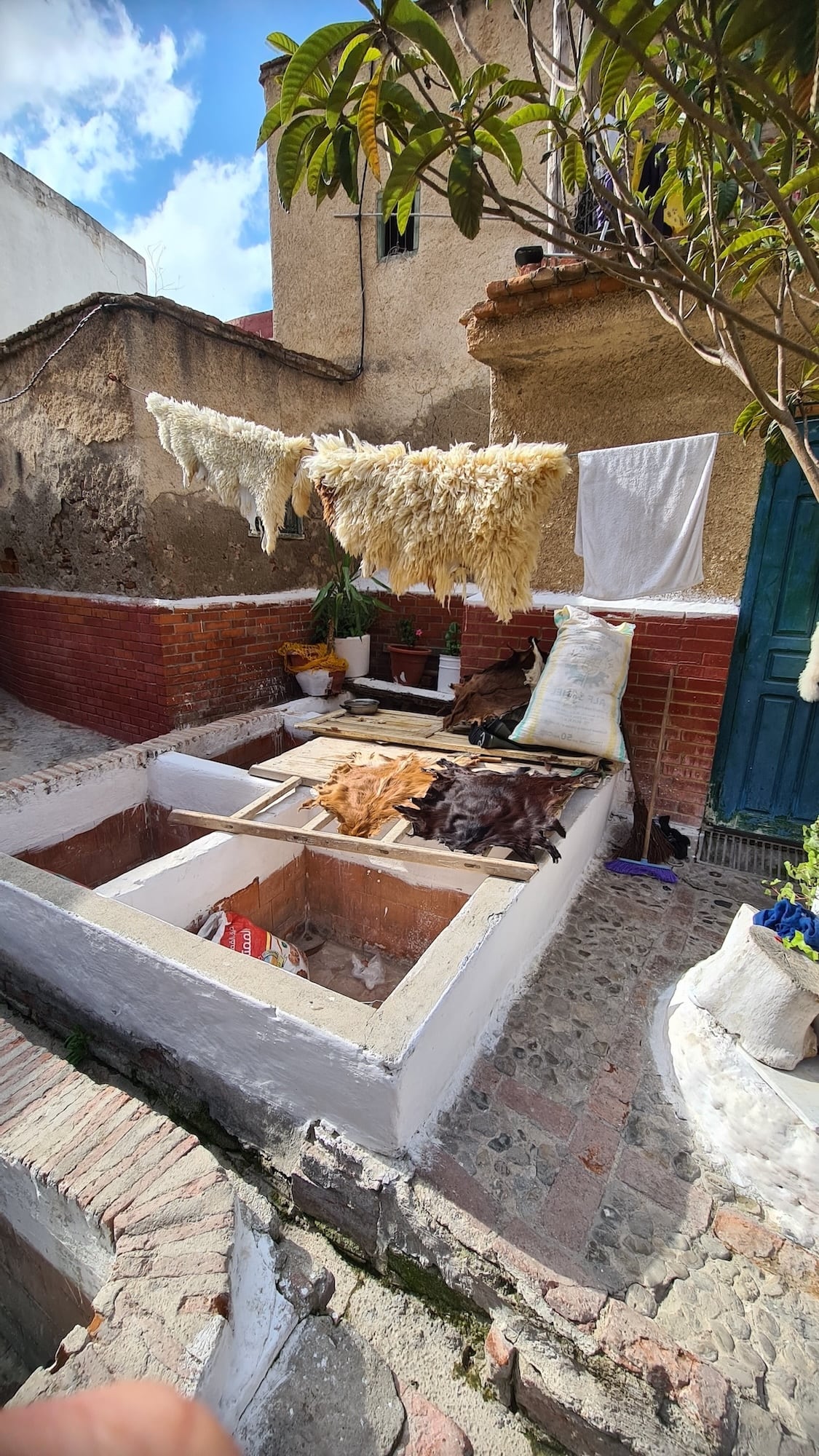 Zum Glück ohne Gestank