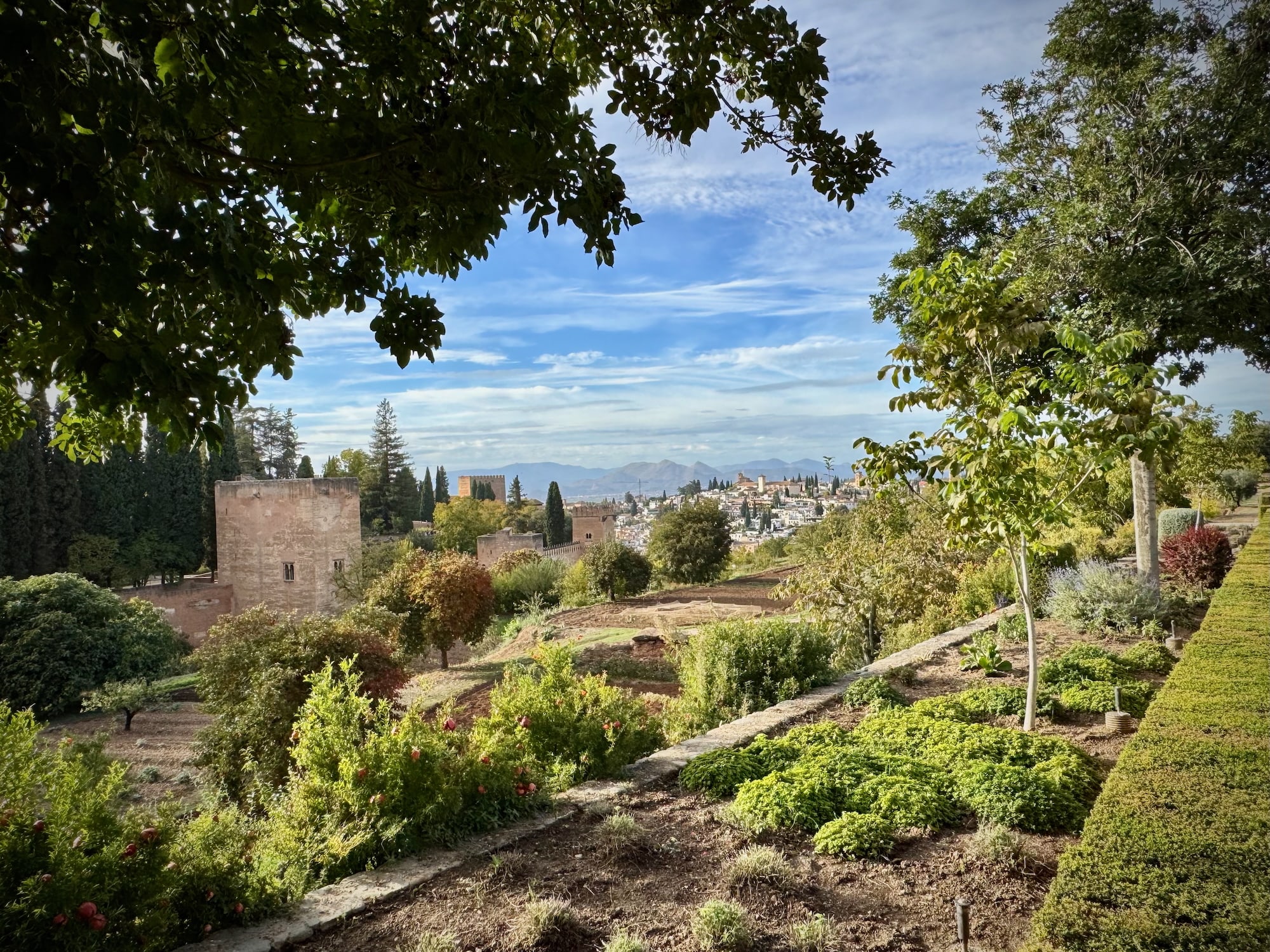 Alhambra - Generalife Obstbäume über der Stadt