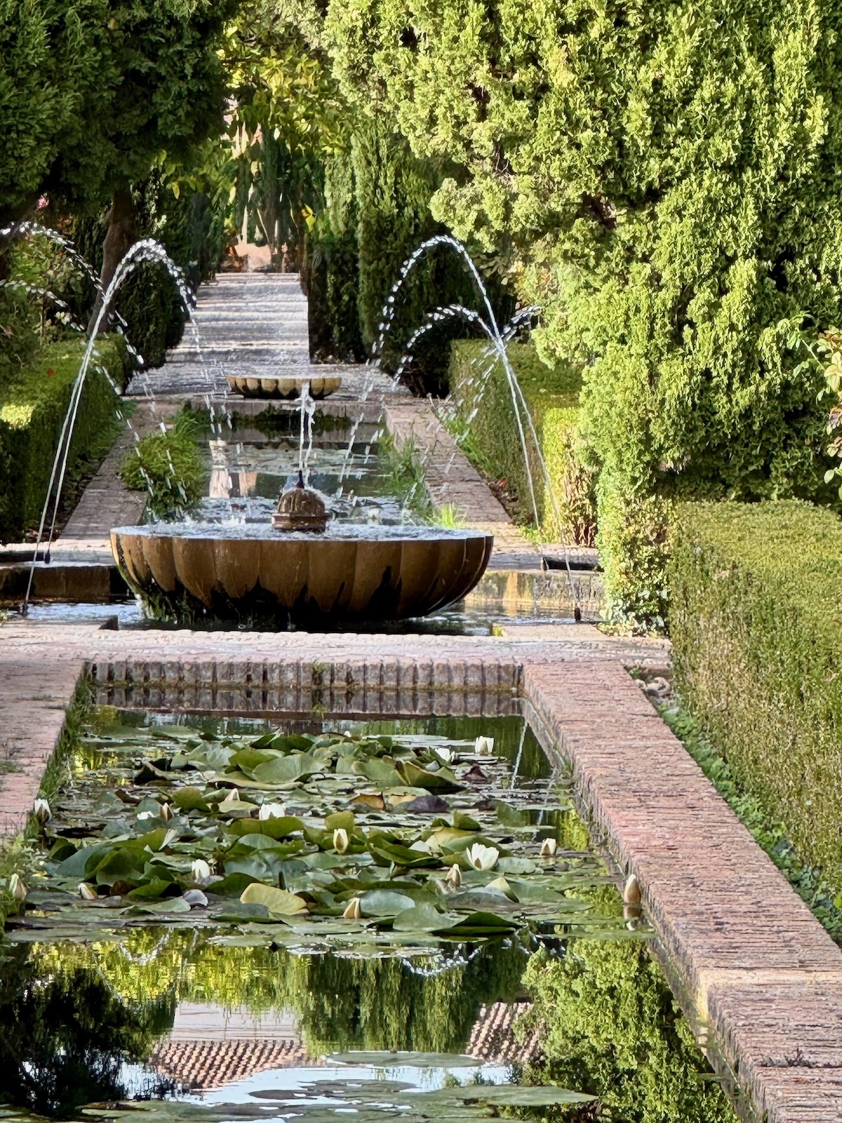 Alhambra - Generalife Springbrunnen mit Seerosen