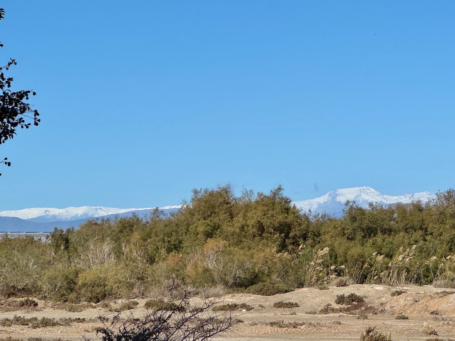 Wüste und schneebedeckte Berge