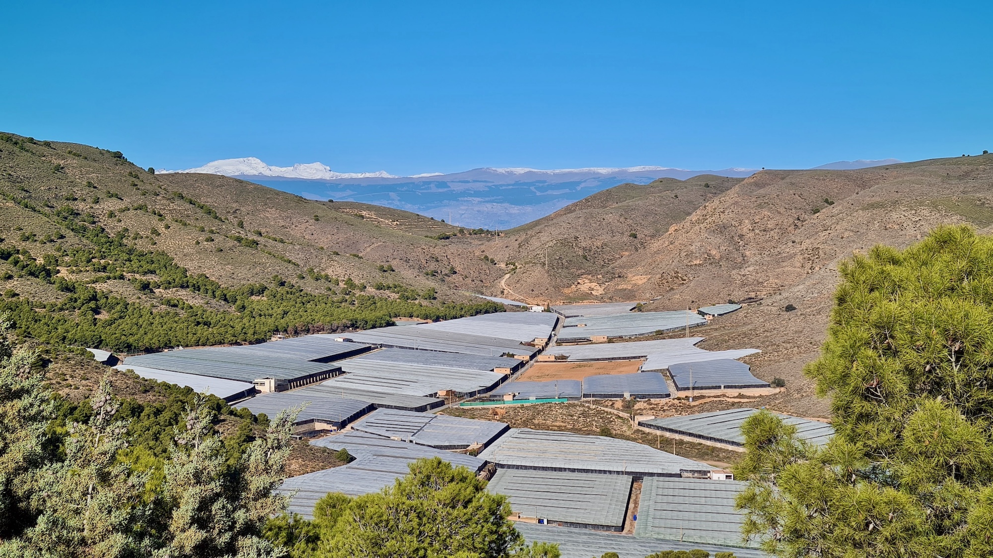 Karge Landschaft, Gewächshäuser, Schneeberge
