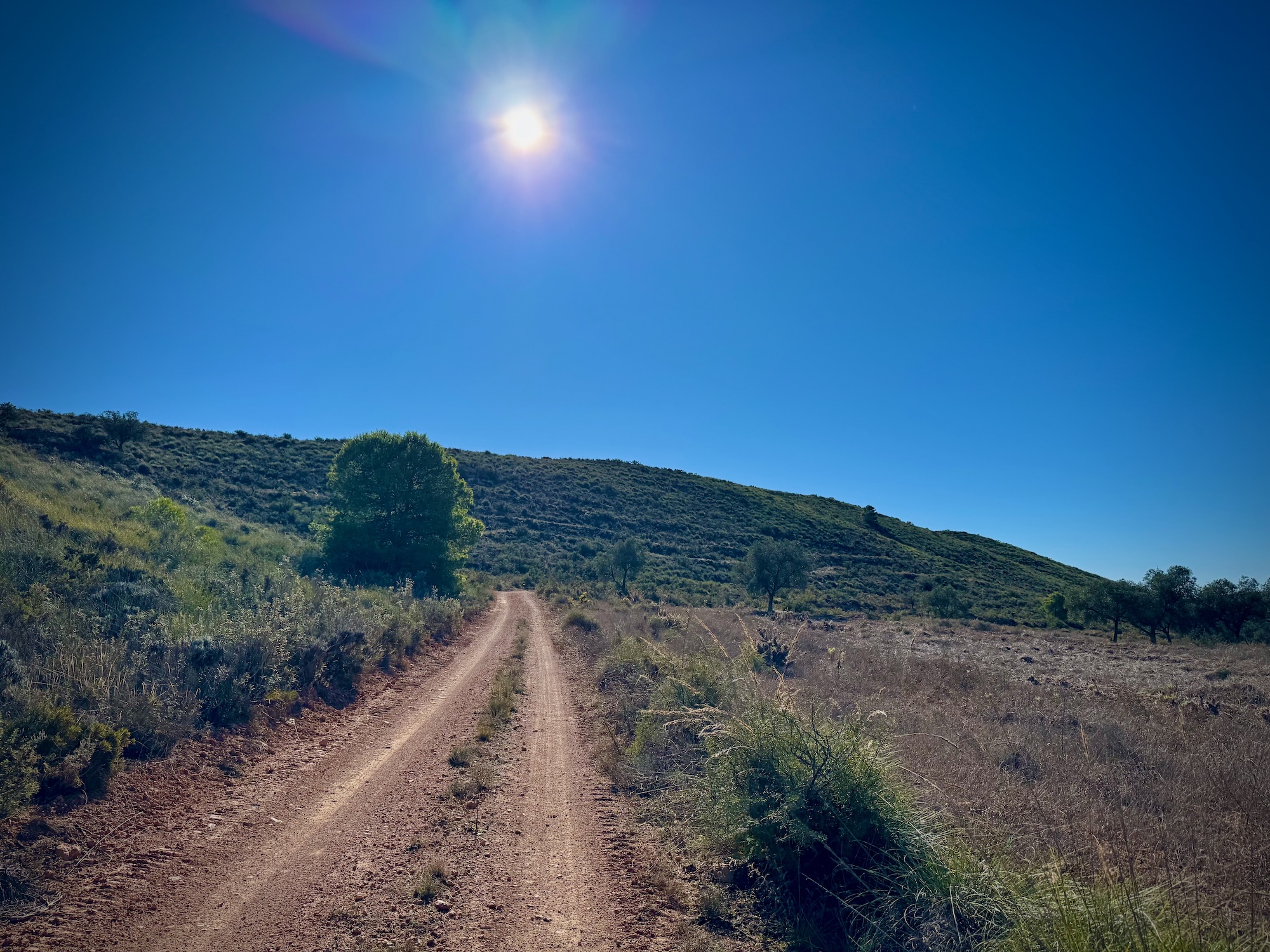 Oben auf der Hochebene