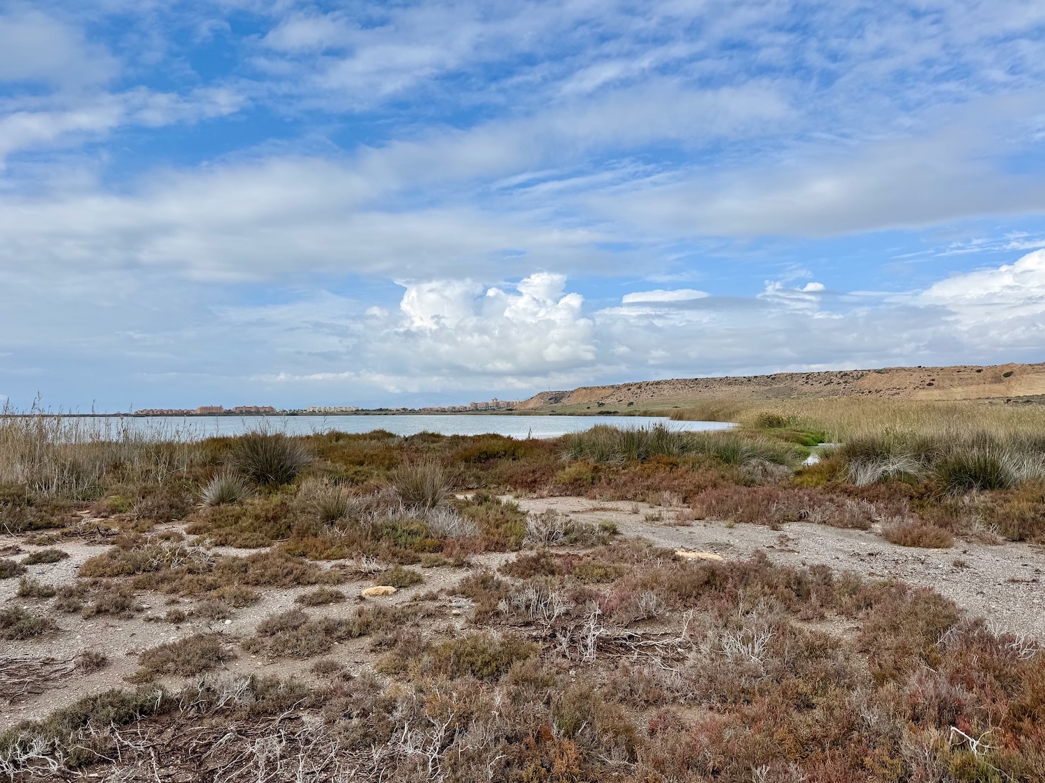 Punta Entinas Sabinar – Wüste und Meer