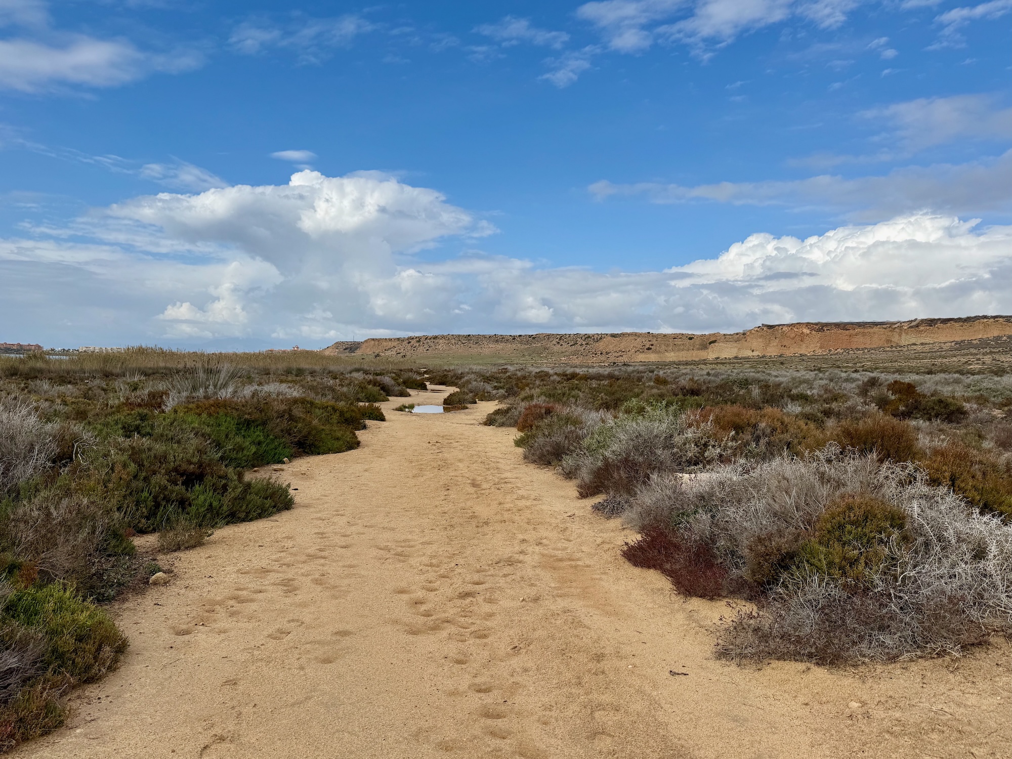 Wanderung im Naturschutzgebiet Punta Entinas Sabinar