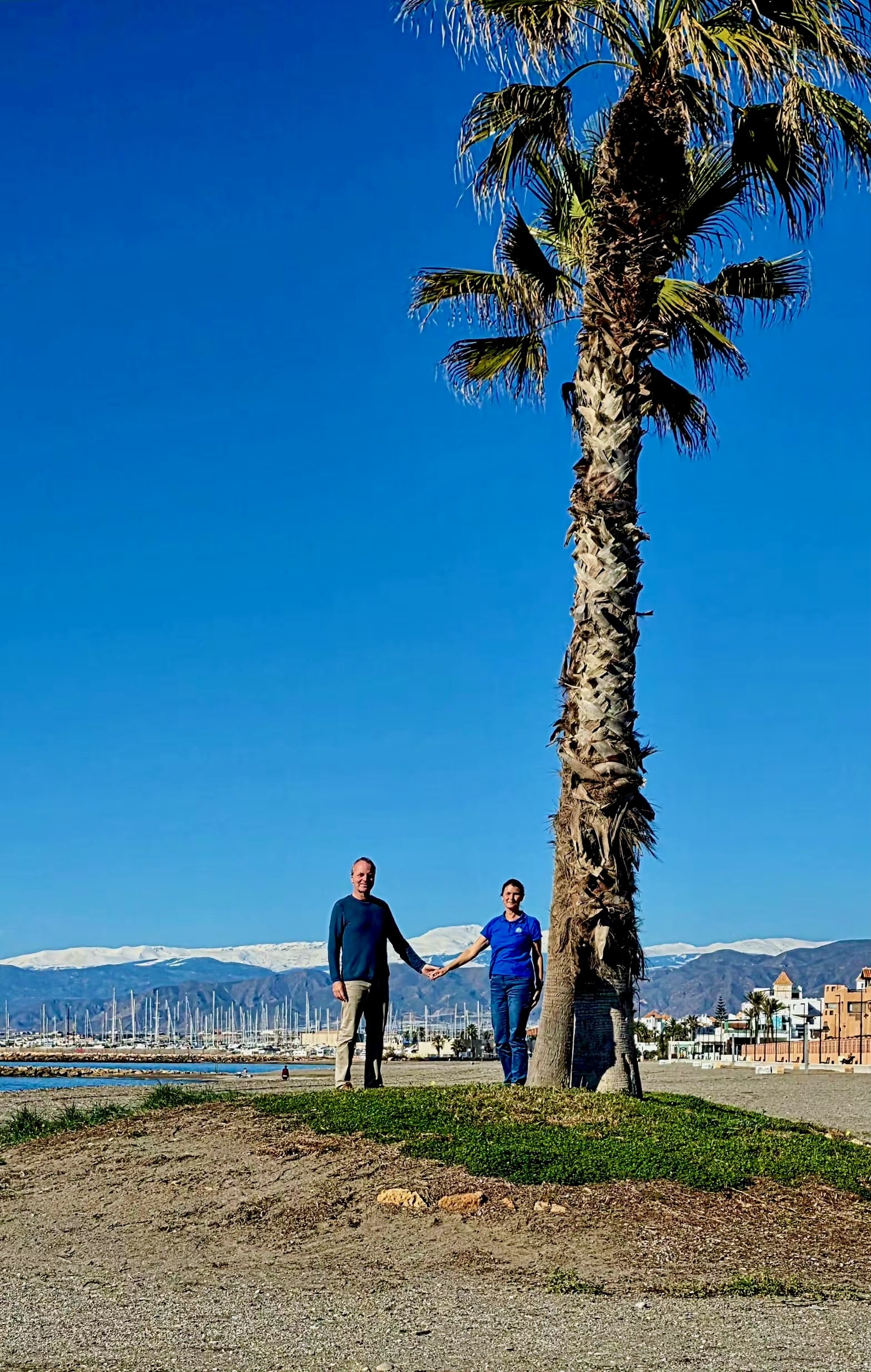 Silvestertag unter der Palme