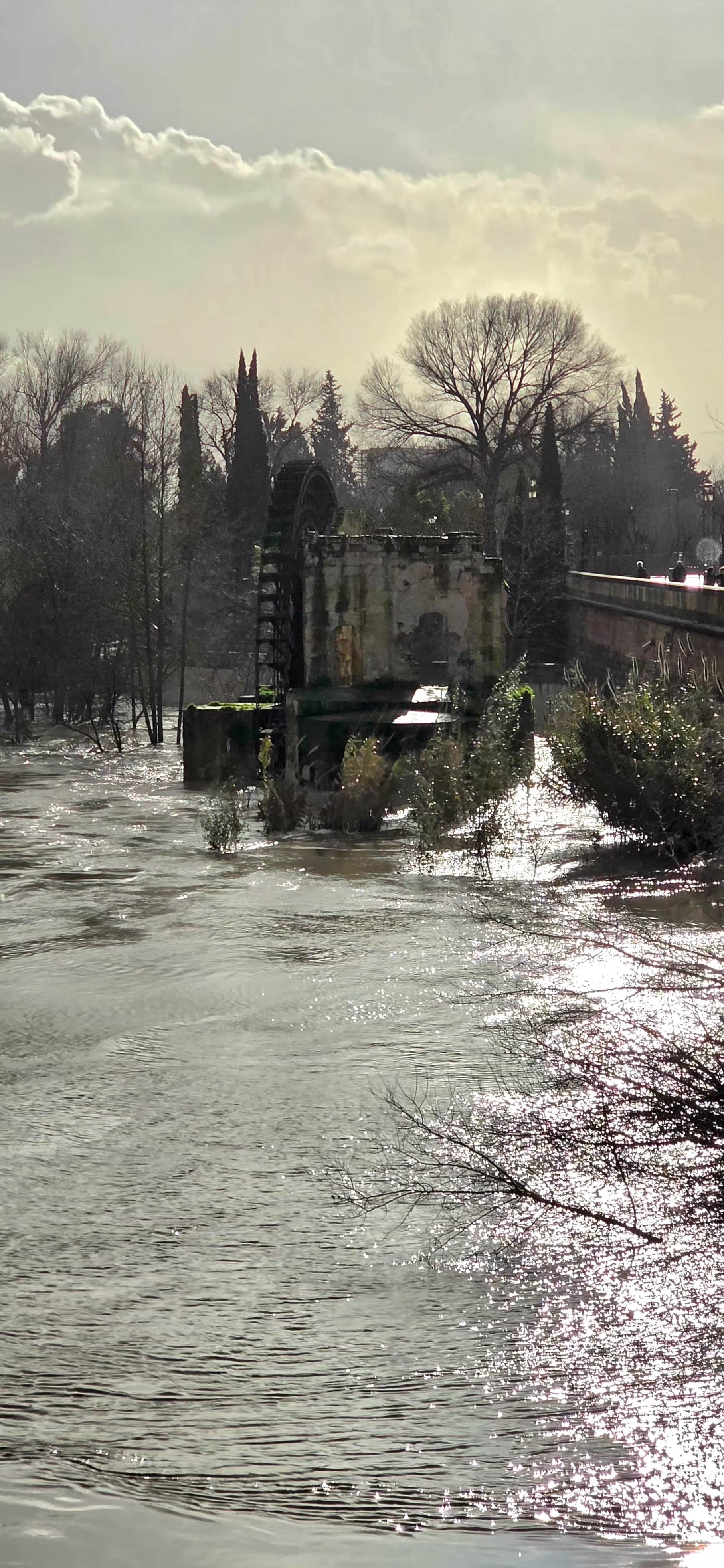 Mühle im Hochwasser