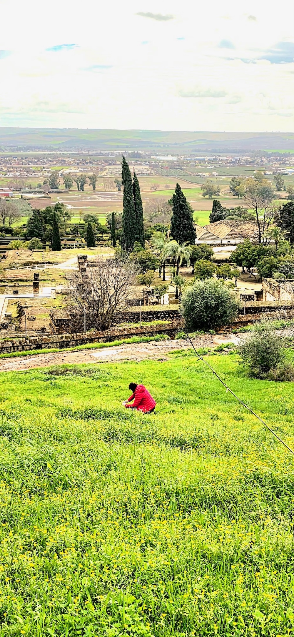 Auf der Frühlingswiese