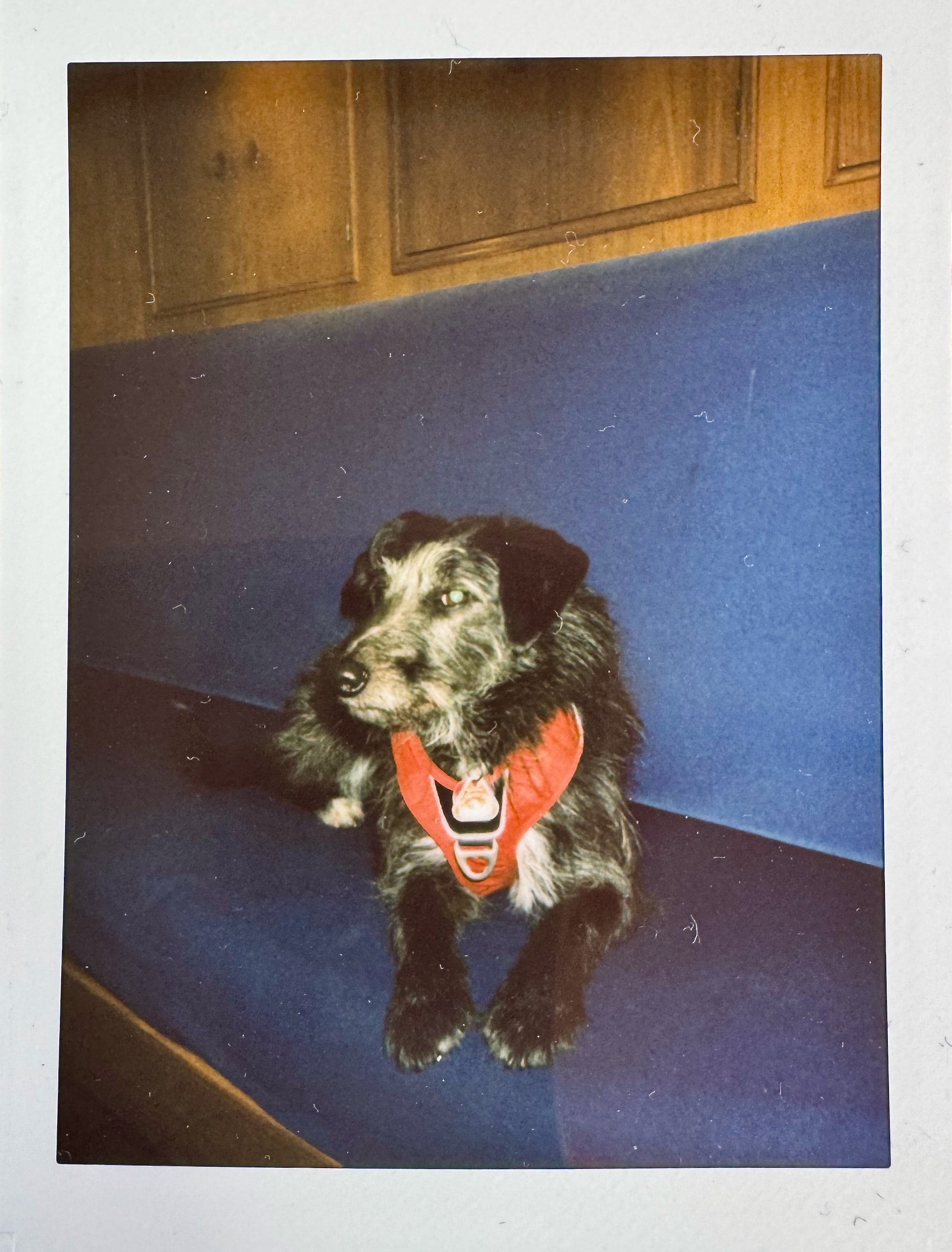 Prinzessin Käppi auf der blauen Couch