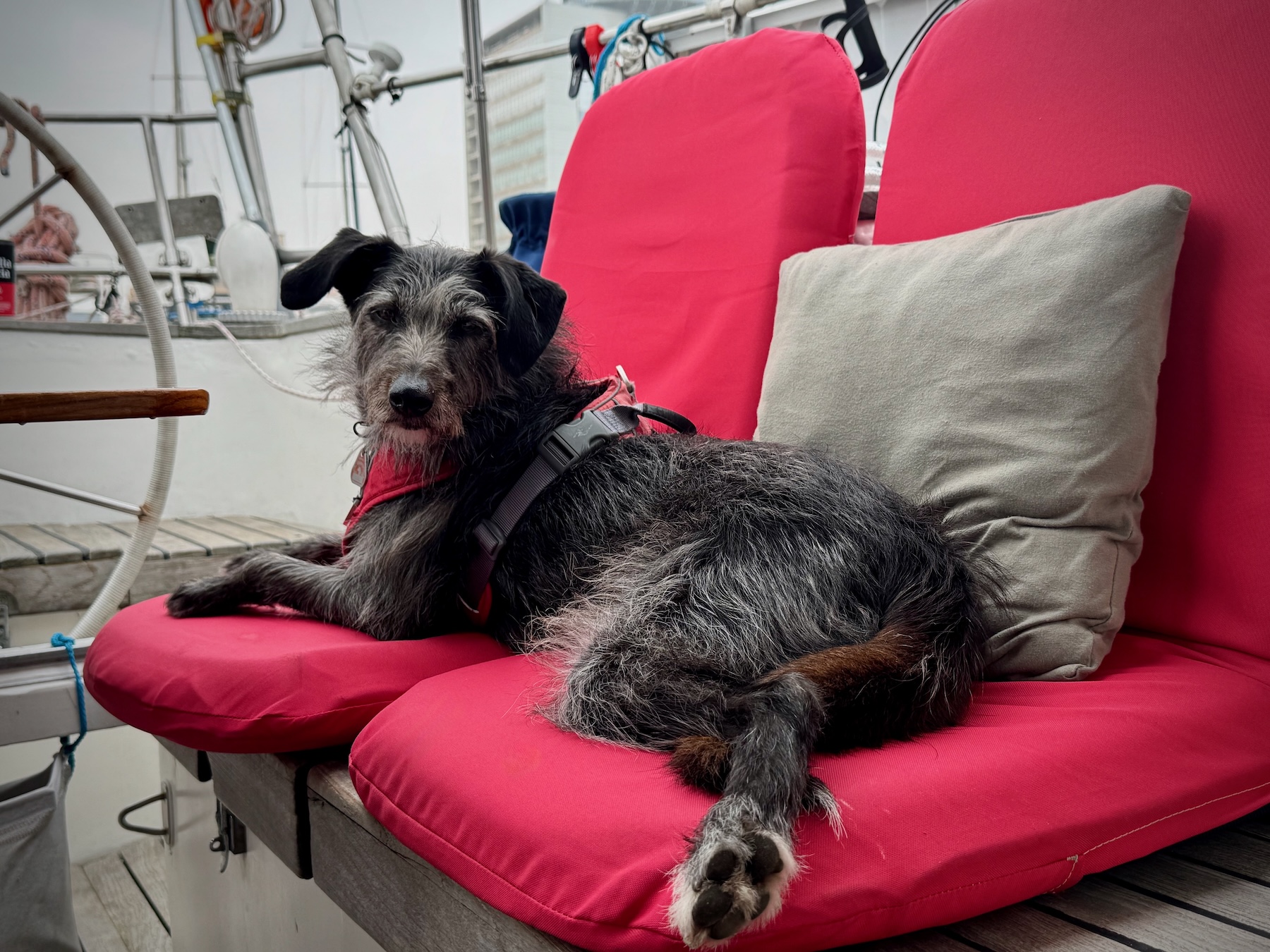 Prinzessin Käppi auf der roten Couch