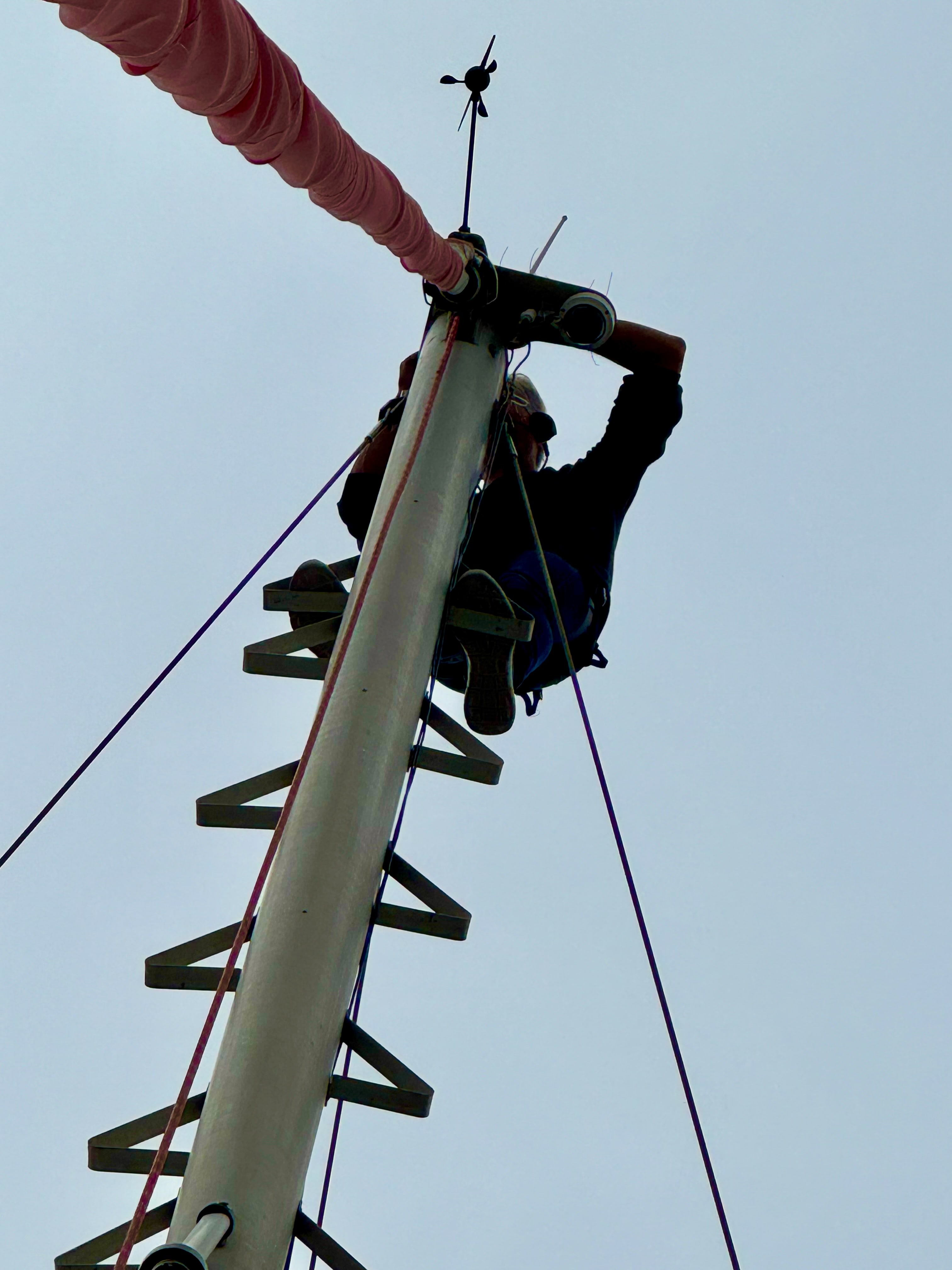 Frank auf unserem Mast