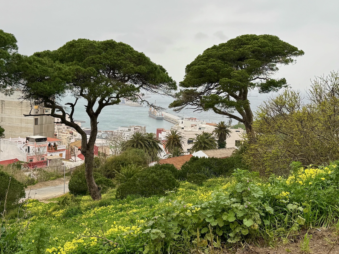 Blick hinunter zum Hafen