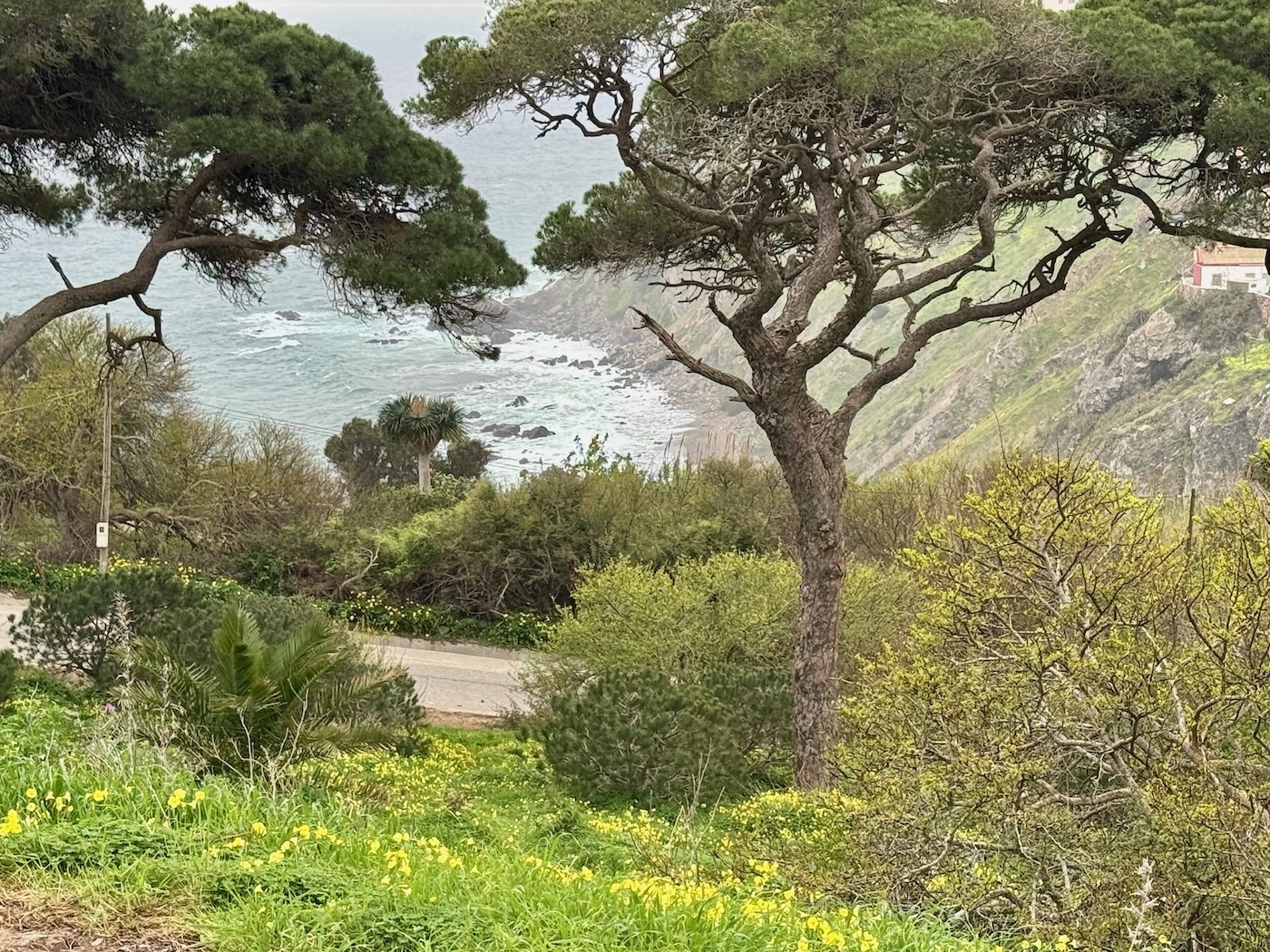 Blick hinunter zur anderen Stadtseite