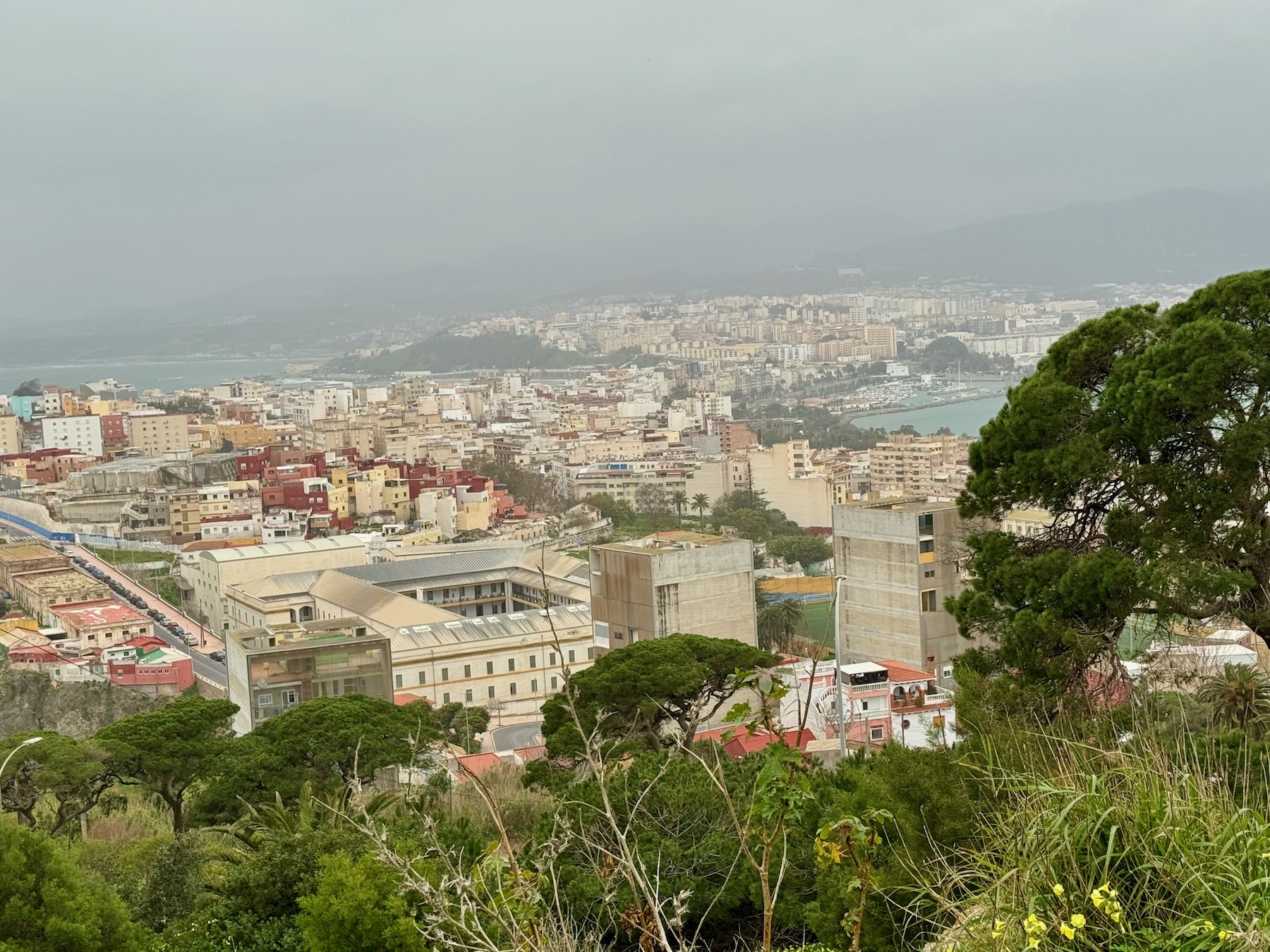 Universitätscampus – Hochhäuser mit Metallgeflecht vor den Balkonen