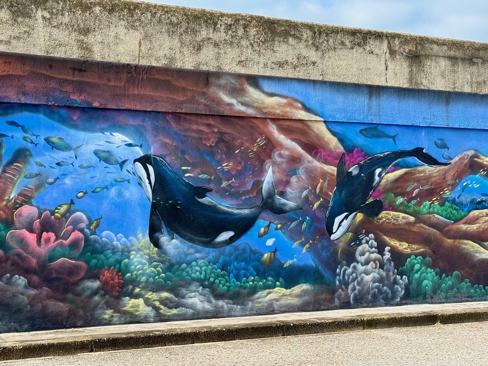 Orcas anders – Wandgemälde
