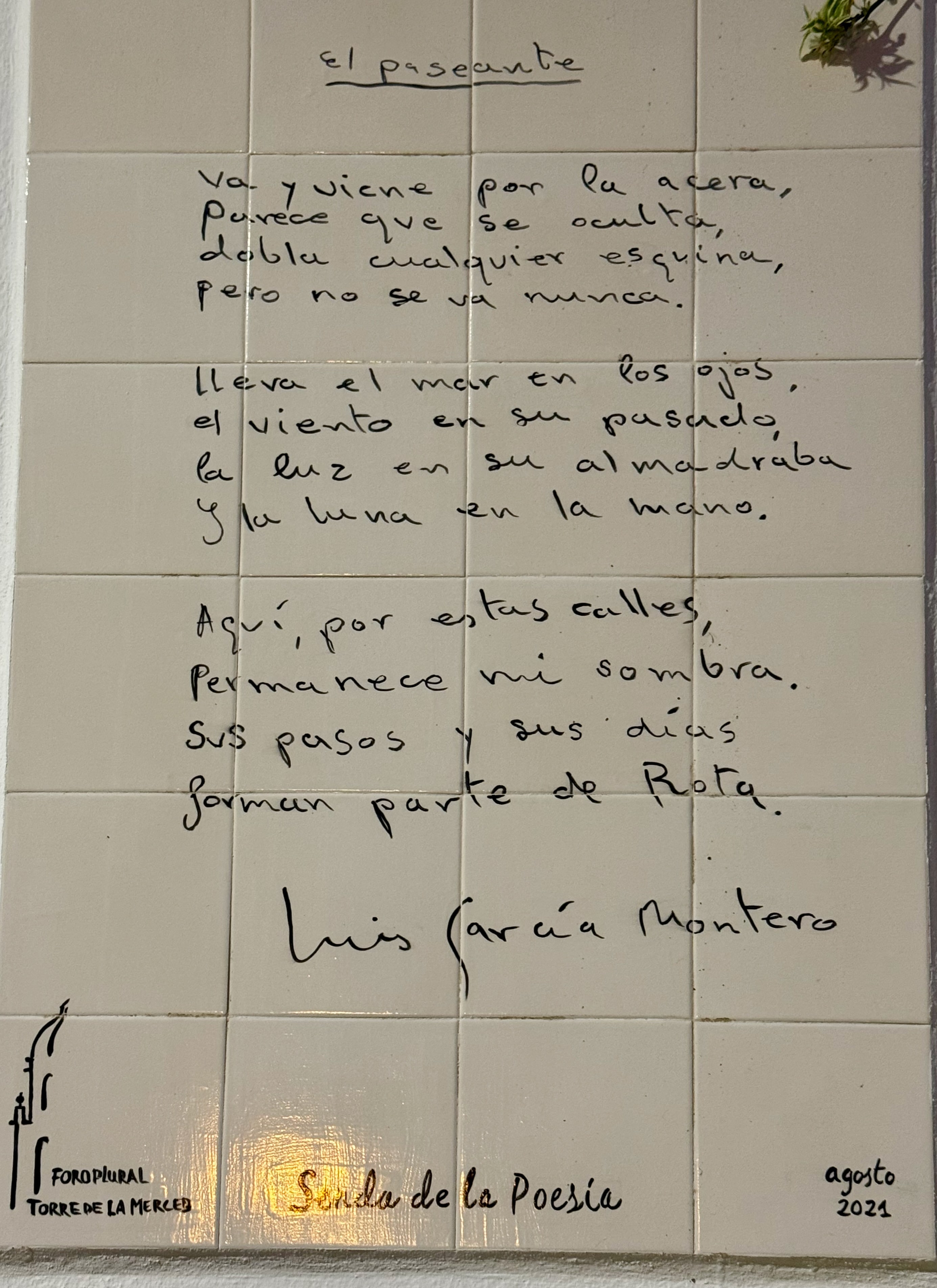 El Paseante