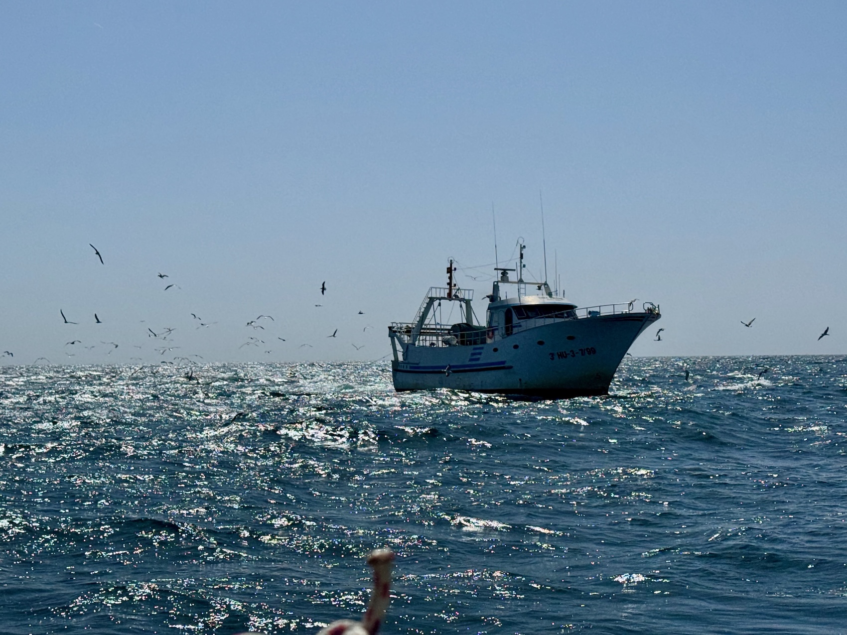 Fischerboot auf dem Weg nach Mazagon