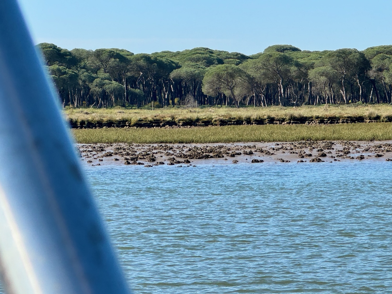 Punta Umbria Ebbe