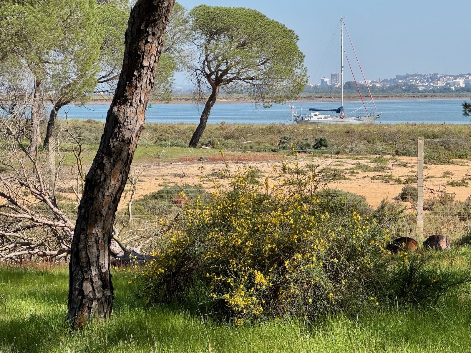 Punta Umbria Frodo mittendrin