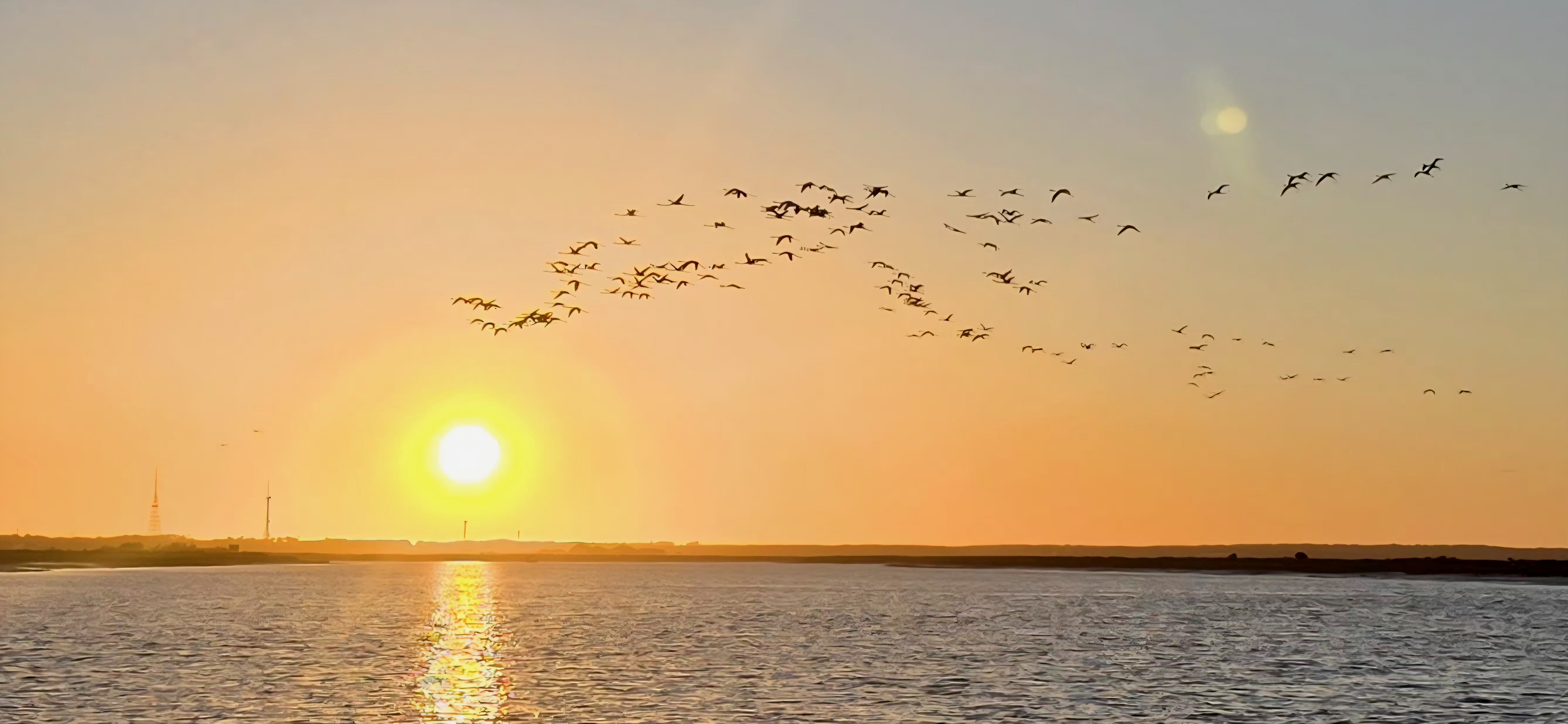 Punta Umbria Flamingos im Sonnenuntergang