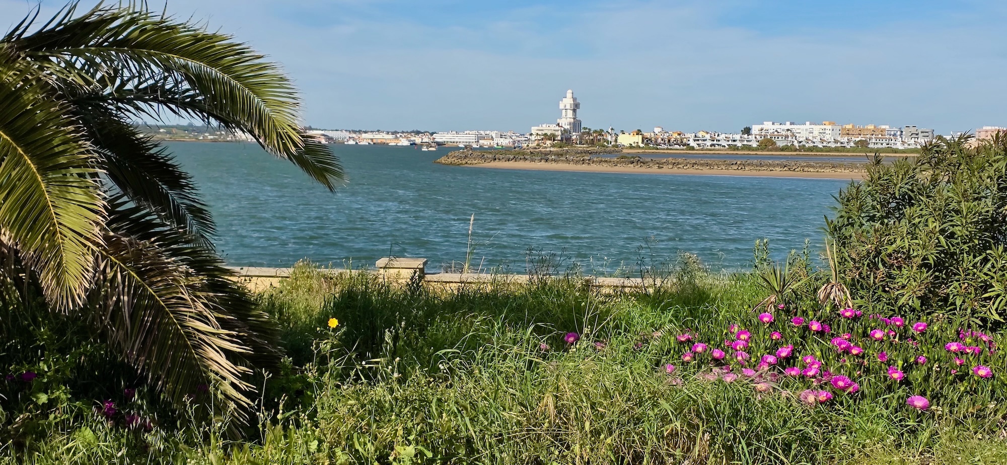 Isla Canela blueht