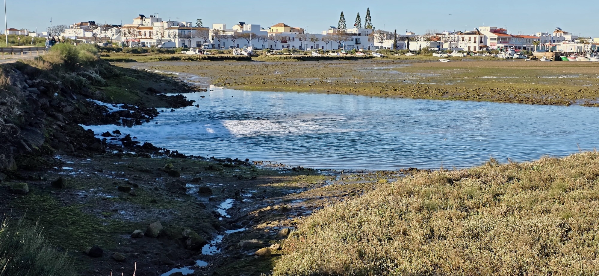 Isla Canela Ebbe