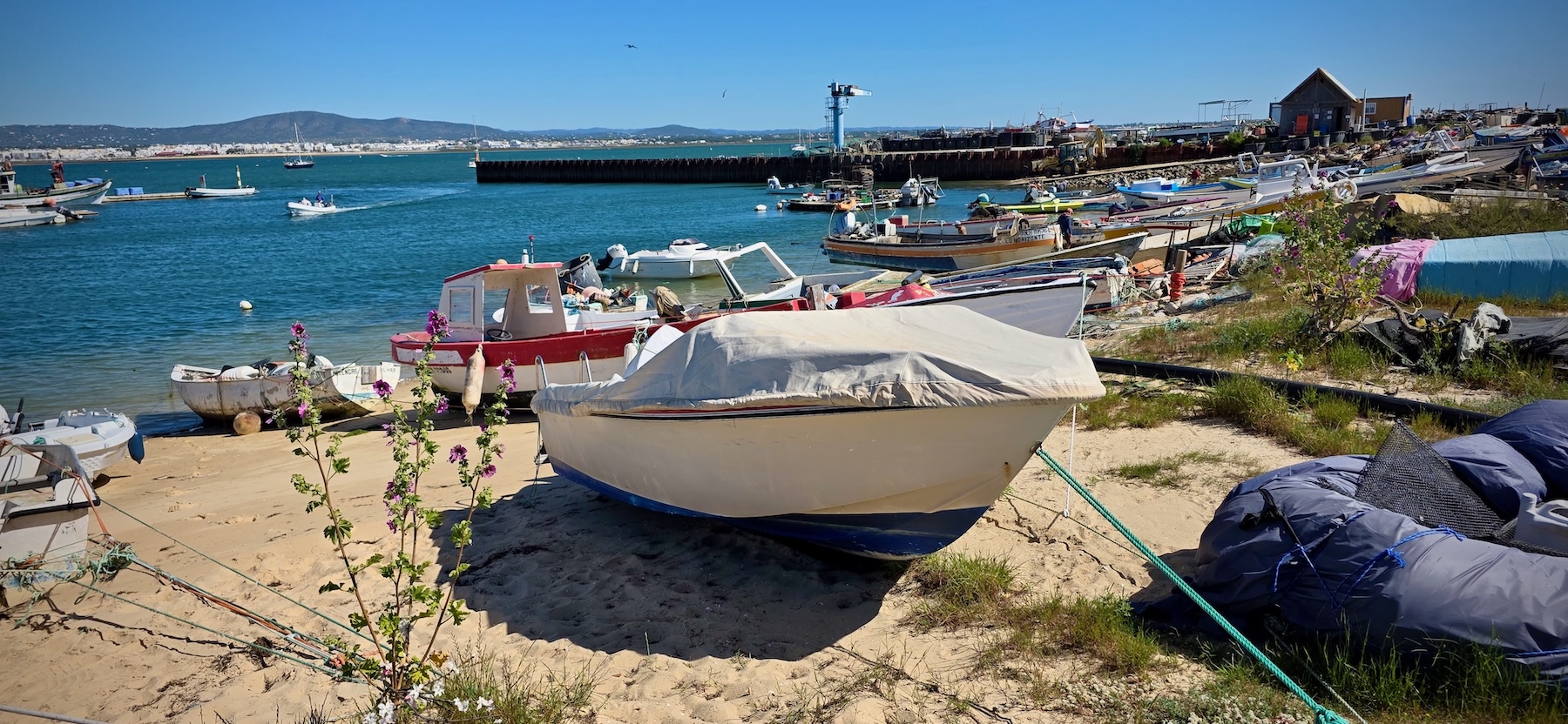 Im Fischereihafen