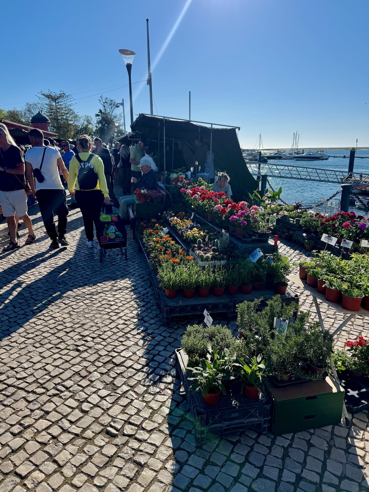 Markt in Olhao