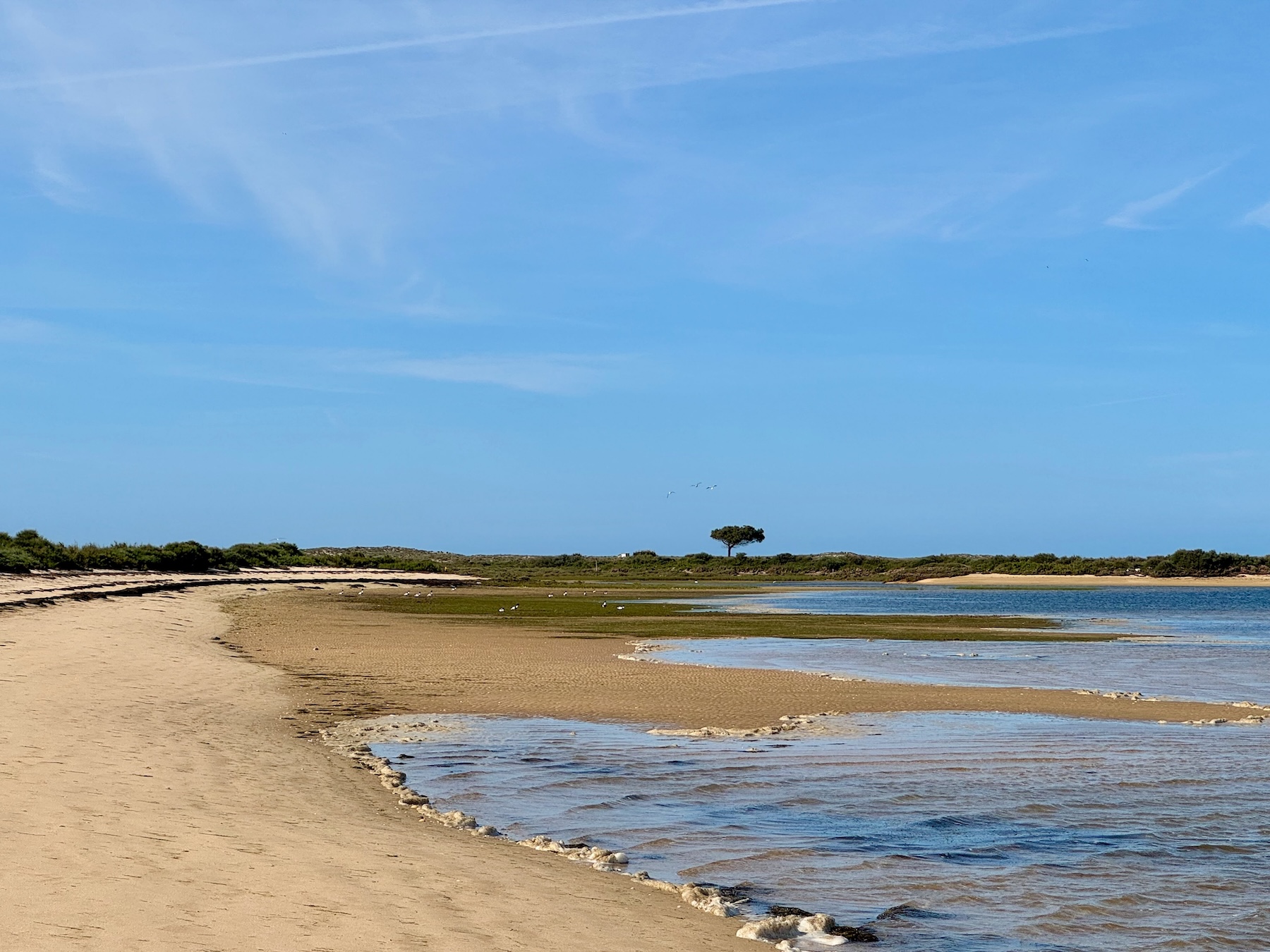 Seepferdchenbucht