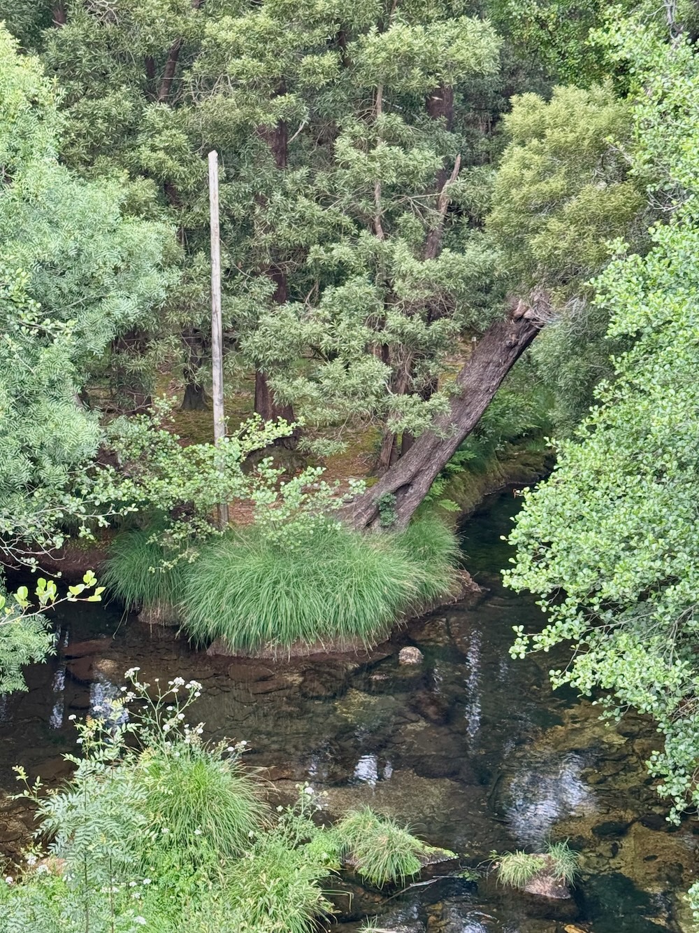 Alles im Fluss