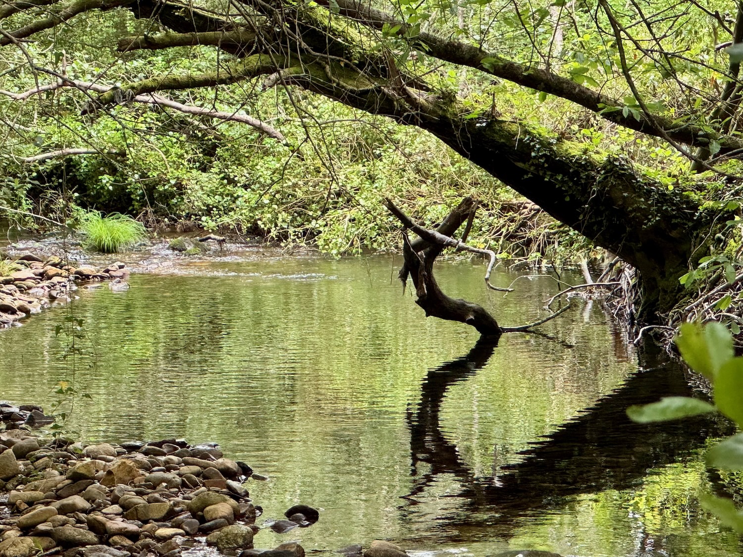 Am Fluss