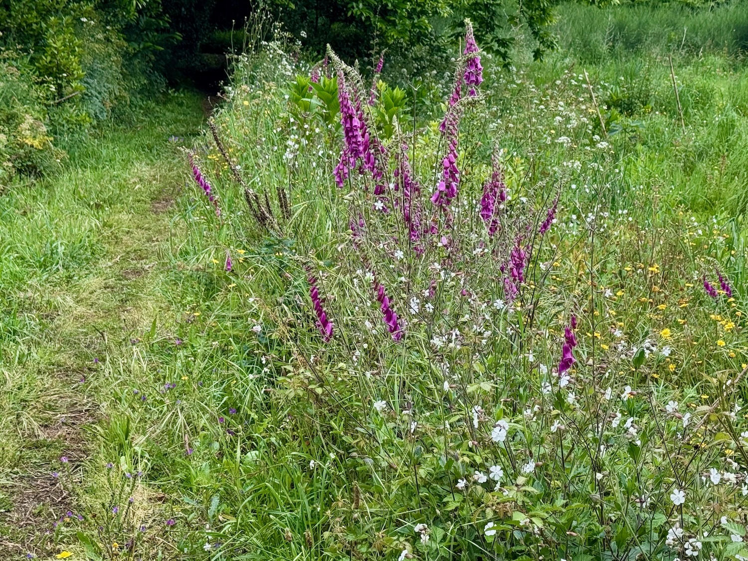 Die Natur als Maler
