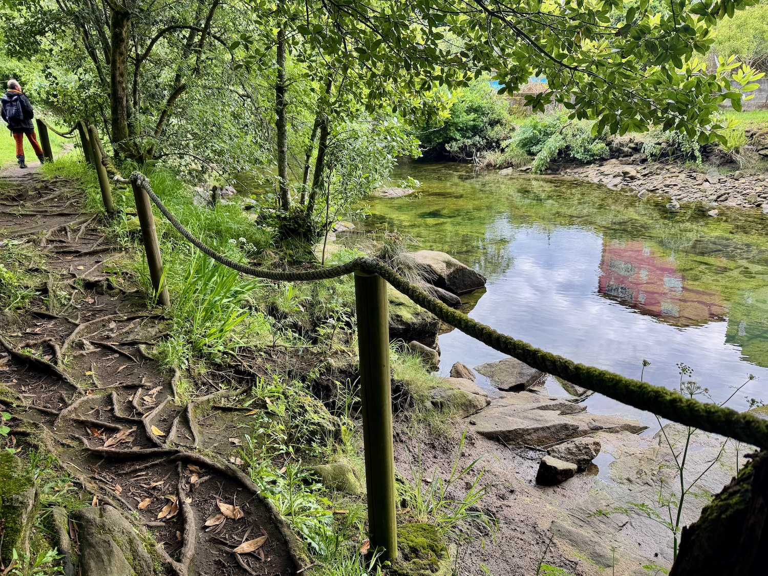 Flusswanderung schmale Wurzelpfade