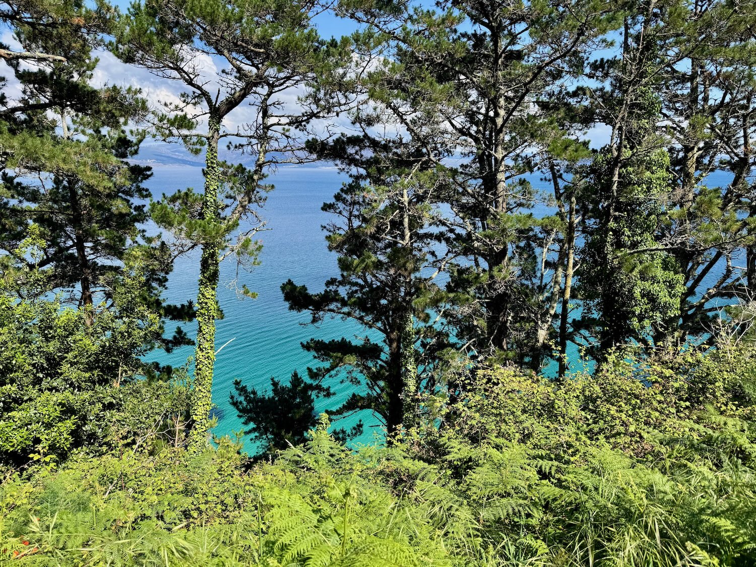Karibikblau