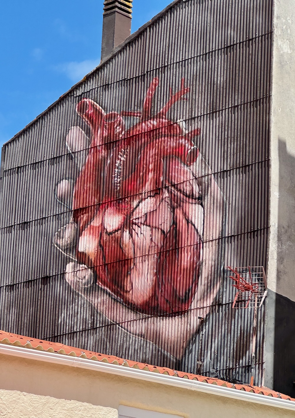 Im Canido Viertel Herz