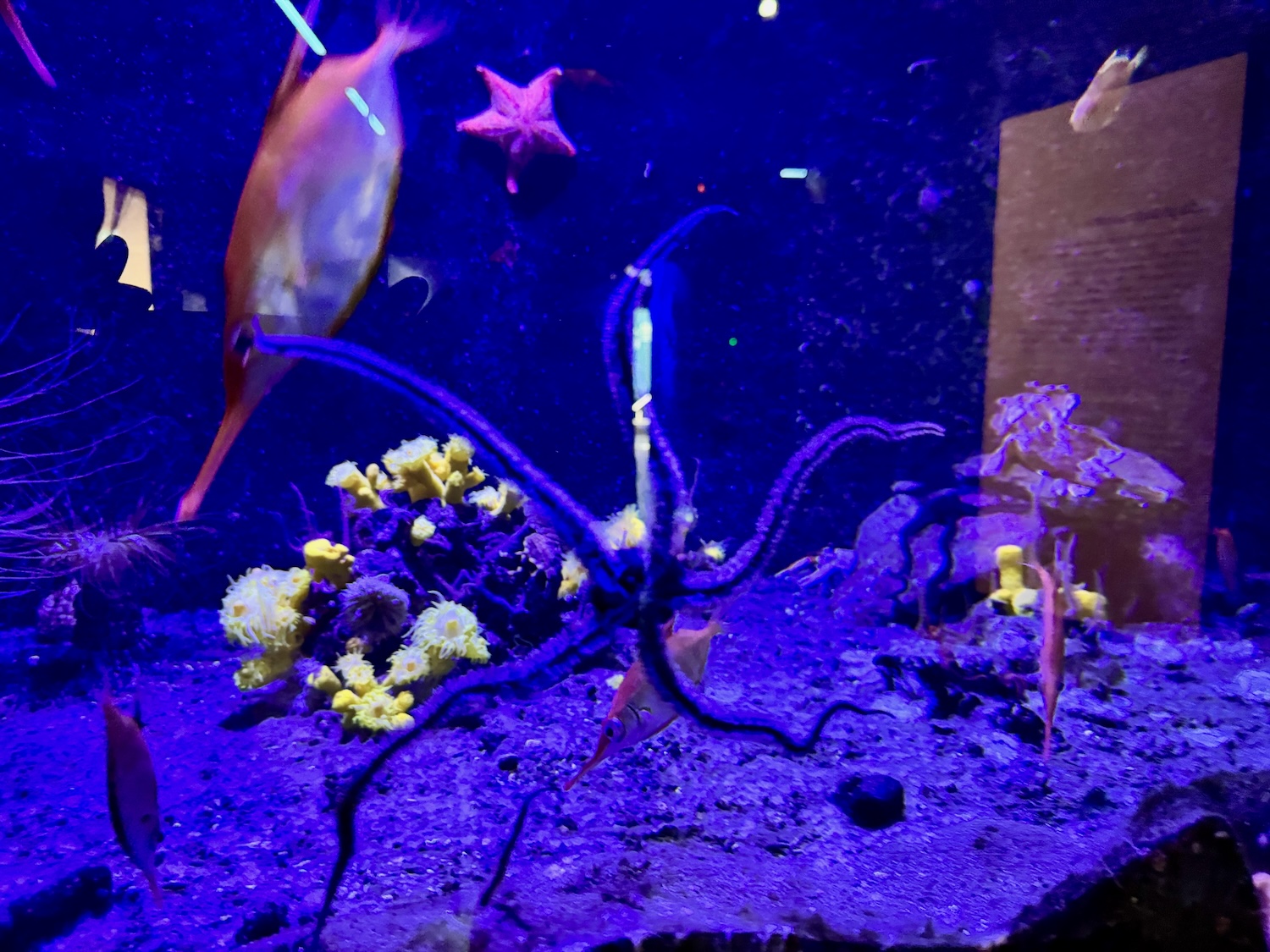 Im Oceaneum